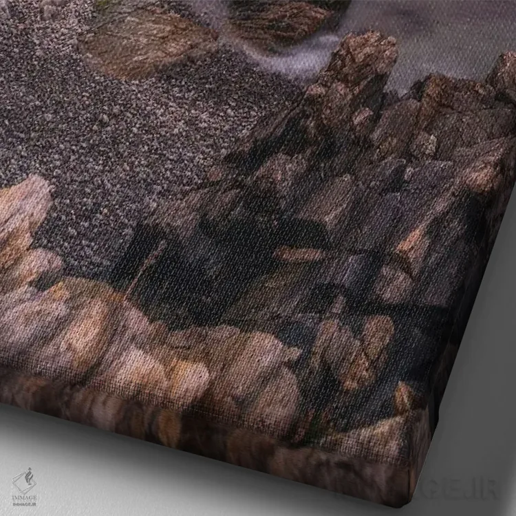 تابلو دکوراتیو نگهبان ساحل اثر دارن وایت فوتوگرافی - نمای نزدیک بافت بوم