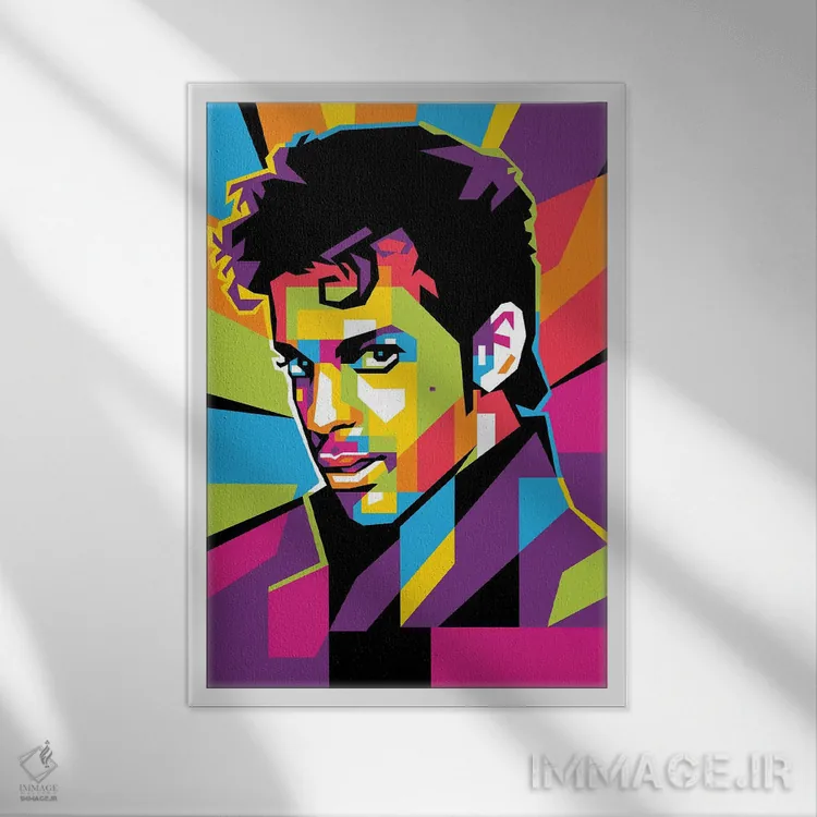 تابلو دکوراتیو پرینس اثر دایات بانگای - نمای قابدار سفید