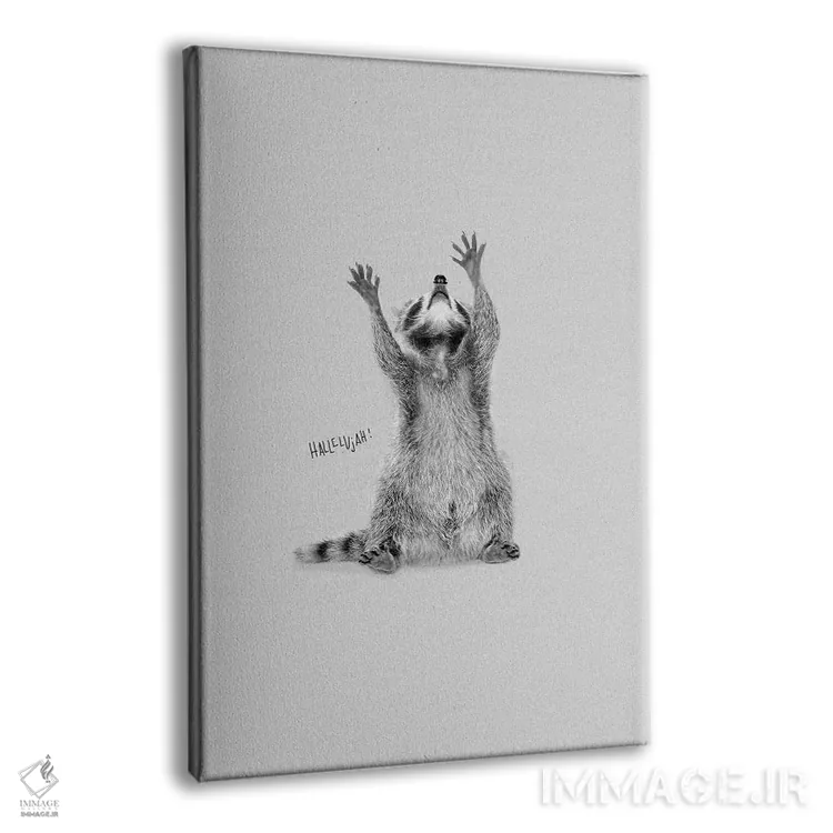 تابلو دکوراتیو راکون هللویا شادی اثر دوزال - نمای پرسپکتیو محصول