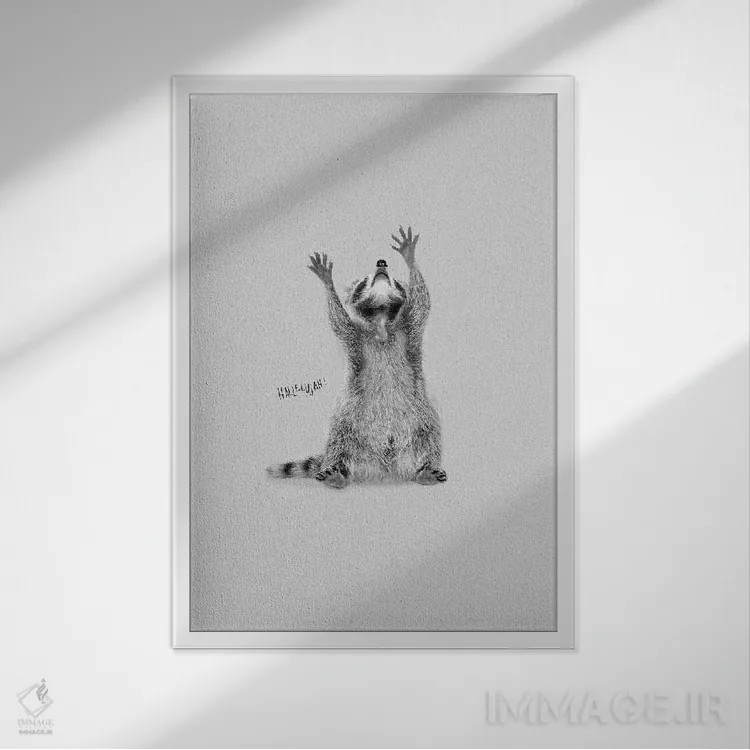 تابلو دکوراتیو راکون هللویا شادی اثر دوزال - نمای قابدار سفید