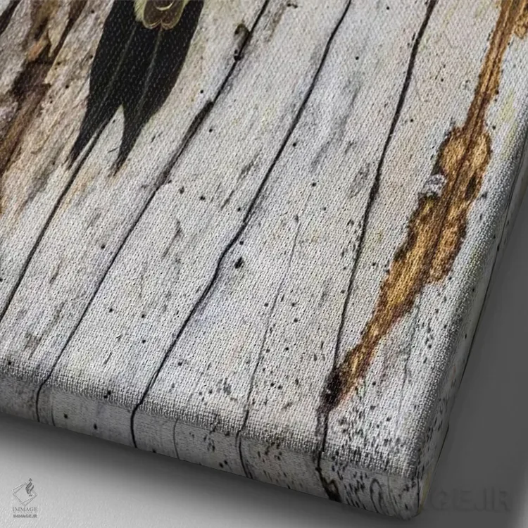 تابلو دکوراتیو بلیز، پناهگاه حیات وحش کروکد تری، دارکوب طلایی پیشانی نشسته… اثر الیزابت بوم - نمای نزدیک بافت بوم