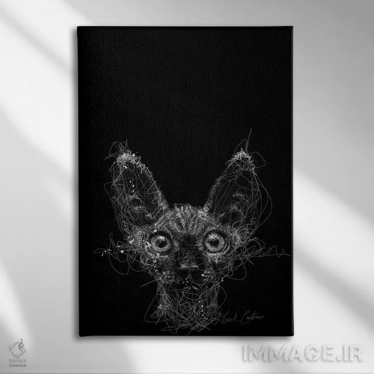 تابلو دکوراتیو شب گربه اثر ریک سنتنو - نمای روبهرو روی دیوار