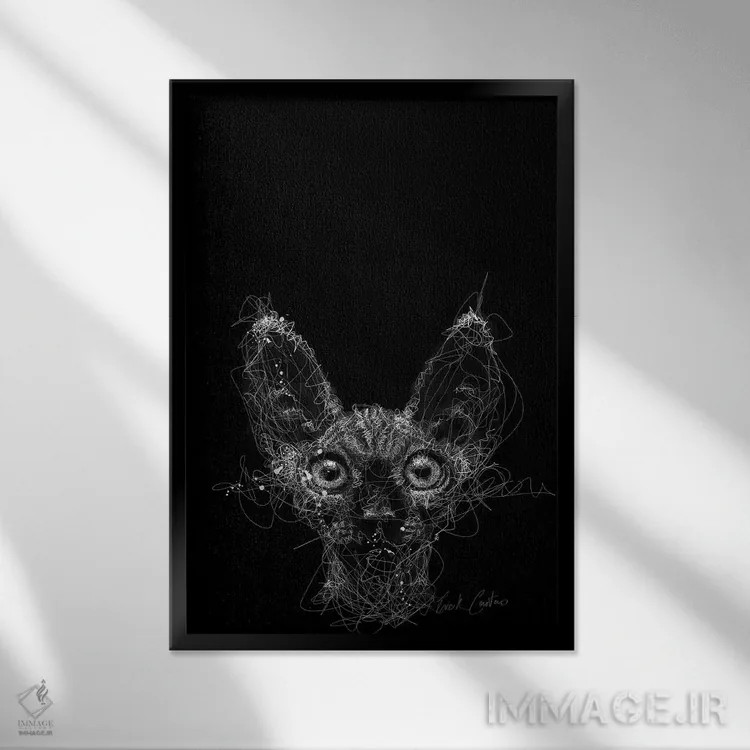 تابلو دکوراتیو شب گربه اثر ریک سنتنو - نمای قابدار مشکی