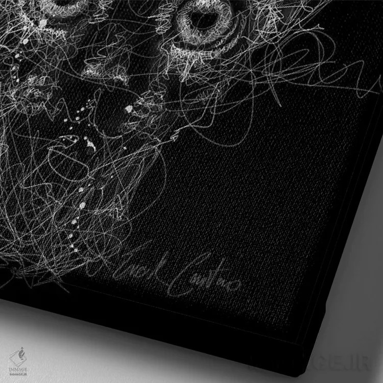 تابلو دکوراتیو شب گربه اثر ریک سنتنو - نمای نزدیک بافت بوم