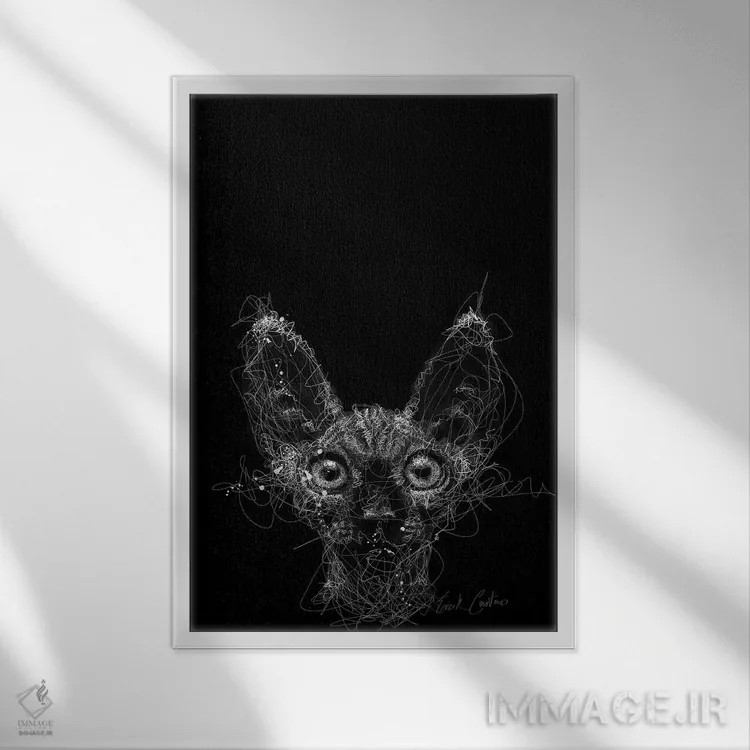 تابلو دکوراتیو شب گربه اثر ریک سنتنو - نمای قابدار سفید