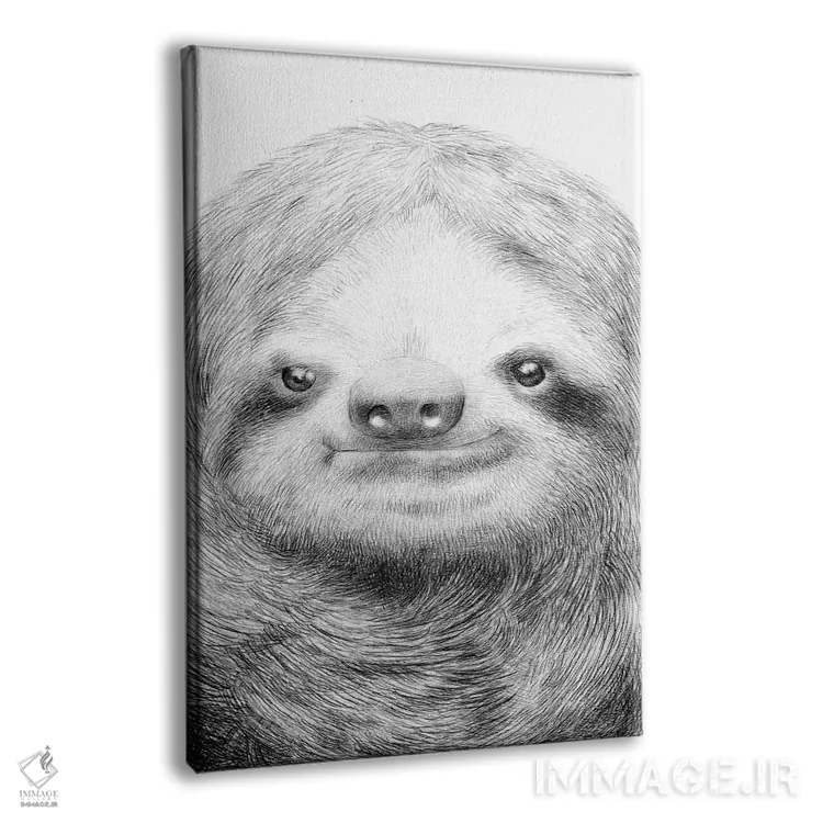 تابلو دکوراتیو تنبل اثر اریک فن - نمای پرسپکتیو محصول