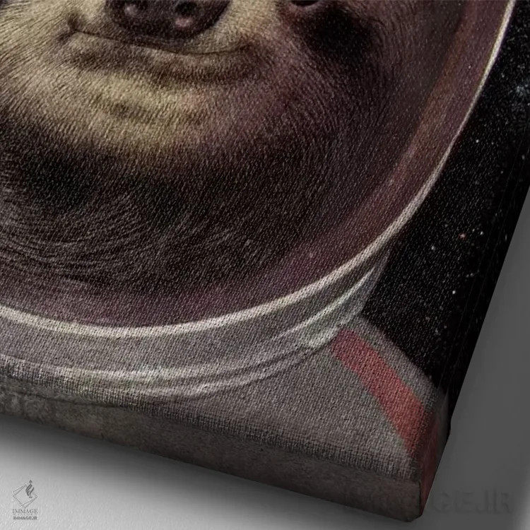 تابلو دکوراتیو تنبل فضایی اثر اریک فن - نمای نزدیک بافت بوم