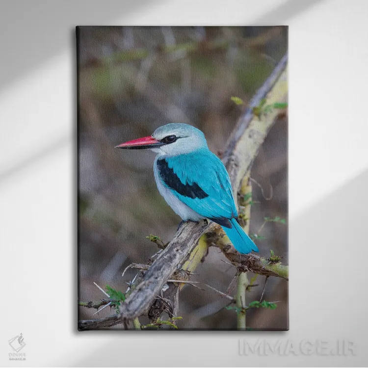 تابلو دکوراتیو آفریقا، تانزانیا. پرتره ای از یک ماهی خورک جنگلی اثر الن گاف - نمای روبهرو روی دیوار