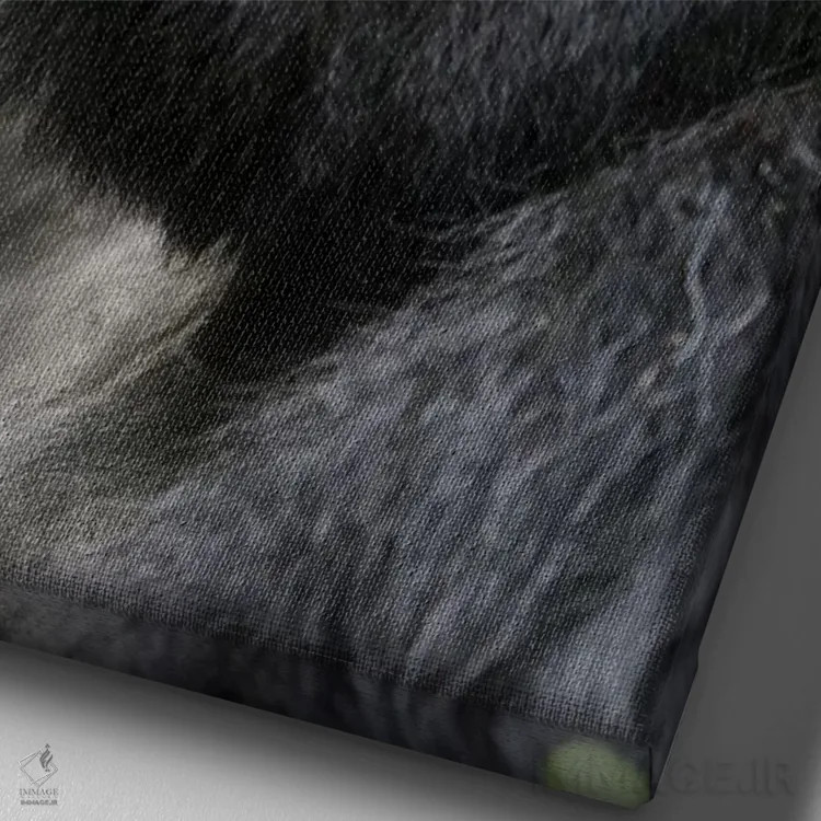 تابلو دکوراتیو آفریقا، رواندا، پارک ملی آتشفشان ها. پرتره ای از یک گوریل کوهی… اثر الن گاف - نمای نزدیک بافت بوم