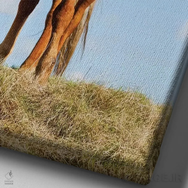 تابلو دکوراتیو ایسلند، دریاچه میواتن، اسب ایسلندی. پرتره ای از اسب ایسلندی II اثر الن گاف - نمای نزدیک بافت بوم