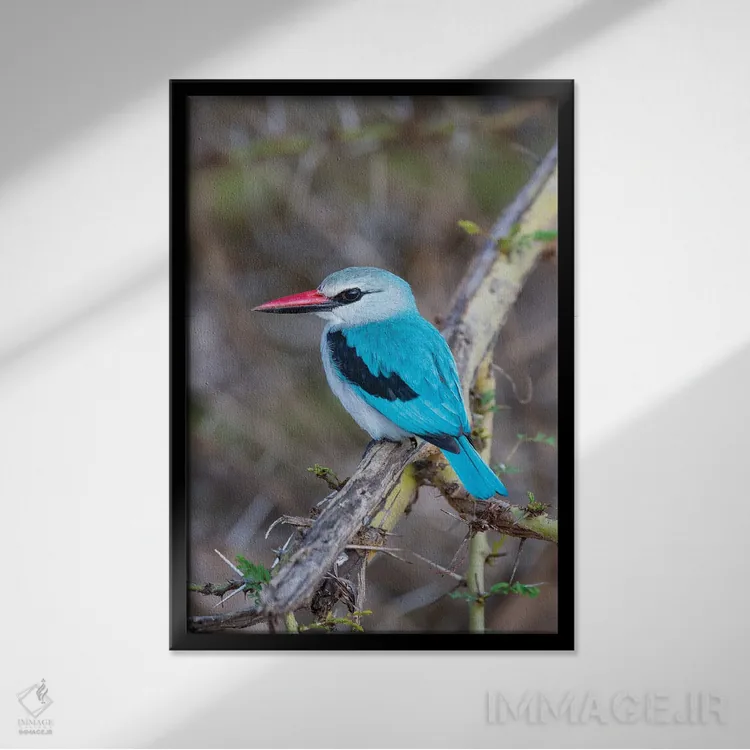 تابلو دکوراتیو آفریقا، تانزانیا. پرتره ای از یک ماهی خورک جنگلی اثر الن گاف - نمای قابدار مشکی