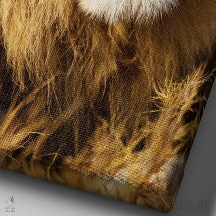 تابلو دکوراتیو آفریقا، تانزانیا. نمای نزدیک از صورت یک شیر نر اثر الن گاف - نمای نزدیک بافت بوم