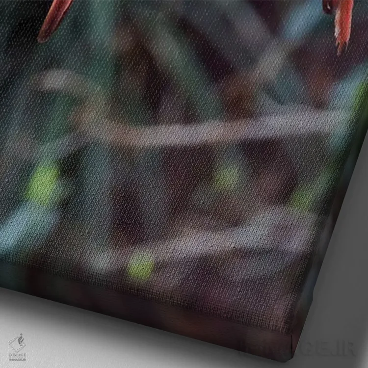 تابلو دکوراتیو آمریکای جنوبی، برزیل، ماتو گروسو دو سول، جاردیم. یک جفت مکائوی… اثر الن گاف - نمای نزدیک بافت بوم