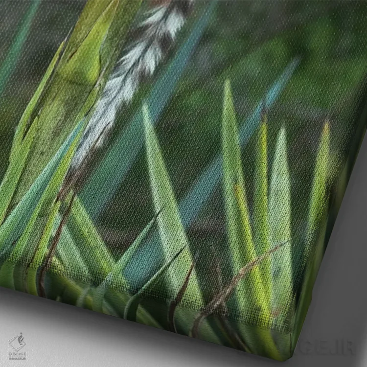 تابلو دکوراتیو ماداگاسکار، آمبواساری، ذخیره گاه برنتی. لمور دم حلقه ای چنگ زده… اثر الن گاف - نمای نزدیک بافت بوم