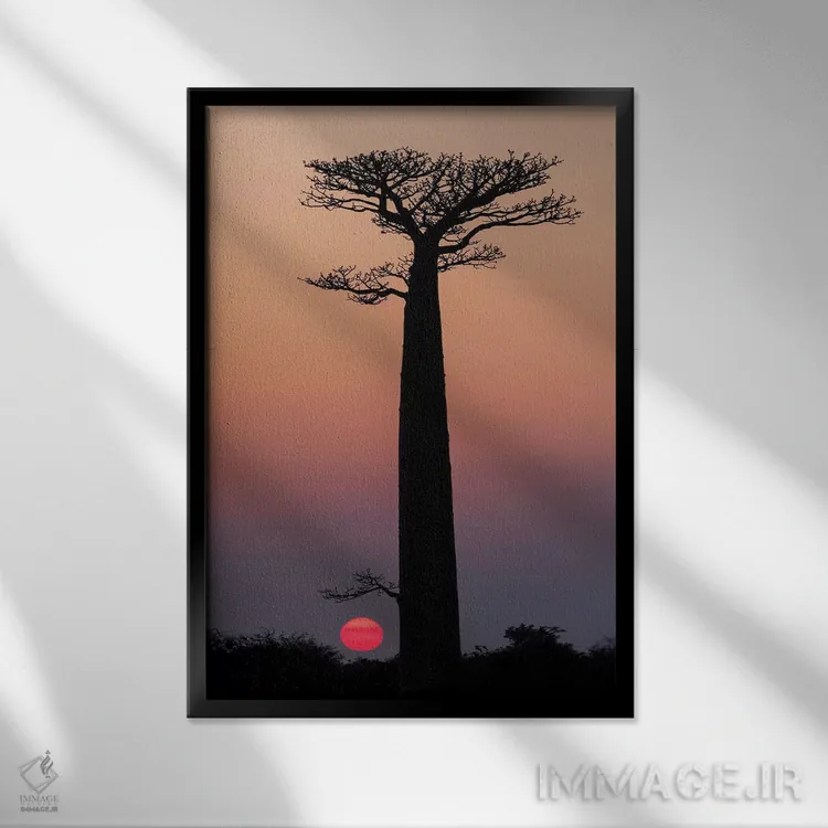 تابلو دکوراتیو ماداگاسکار، مورونداوا. درختان بائوباب به صورت سیلوئت مقابل آسما… اثر الن گاف - نمای قابدار مشکی