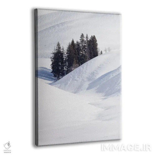 تابلو دکوراتیو وایومینگ، پارک ملی یلواستون، دره لامار. چشم انداز زمستانی درختا… اثر الن گاف - نمای پرسپکتیو محصول