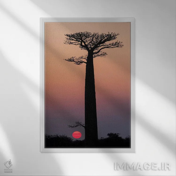 تابلو دکوراتیو ماداگاسکار، مورونداوا. درختان بائوباب به صورت سیلوئت مقابل آسما… اثر الن گاف - نمای قابدار سفید