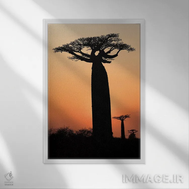 تابلو دکوراتیو ماداگاسکار، مورونداوا، مسیر بائوباب ها. درختان بائوباب گرندیدیر… اثر الن گاف - نمای قابدار سفید