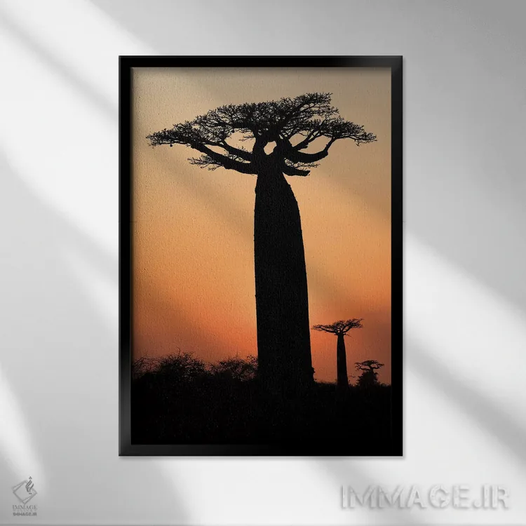 تابلو دکوراتیو ماداگاسکار، مورونداوا، مسیر بائوباب ها. درختان بائوباب گرندیدیر… اثر الن گاف - نمای قابدار مشکی