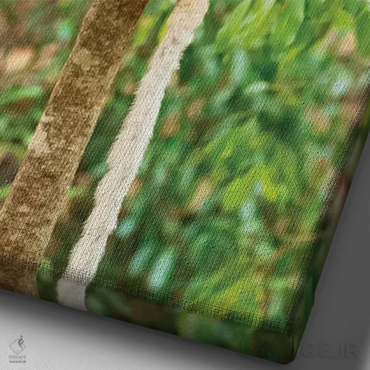 تابلو دکوراتیو آفریقا، ماداگاسکار، آنوسی، ذخیره گاه برنتی. پرتره ای از یک سیفا… اثر الن گاف - نمای نزدیک بافت بوم