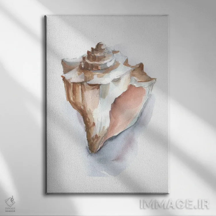 تابلو مینیمال مجموعه صدف های پاستلی اثر اتان هارپر - نمای روبهرو روی دیوار