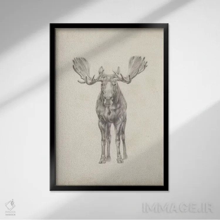 تابلو دکوراتیو مطالعه موس اثر اتان هارپر - نمای قابدار مشکی