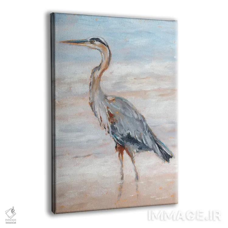 تابلو دکوراتیو حواصیل ساحلی II اثر اتان هارپر - نمای پرسپکتیو محصول