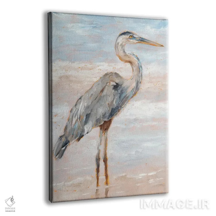 تابلو دکوراتیو حواصیل ساحلی I اثر اتان هارپر - نمای پرسپکتیو محصول