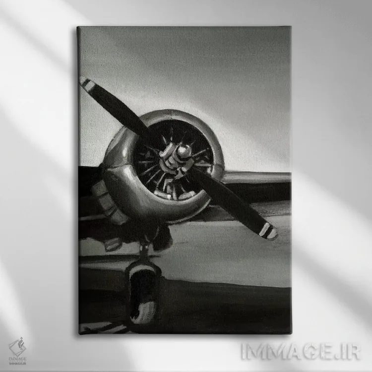 تابلوی سه تایی پرواز کلاسیک III اثر اتان هارپر - نمای روبهرو روی دیوار