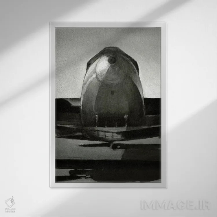 تابلوی سه تایی پرواز کلاسیک II اثر اتان هارپر - نمای قابدار سفید