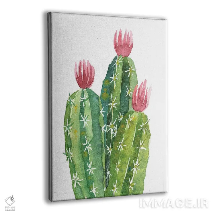 تابلو دکوراتیو کاکتوس گل دهنده اثر اکاترینا پریسیچ - نمای پرسپکتیو محصول