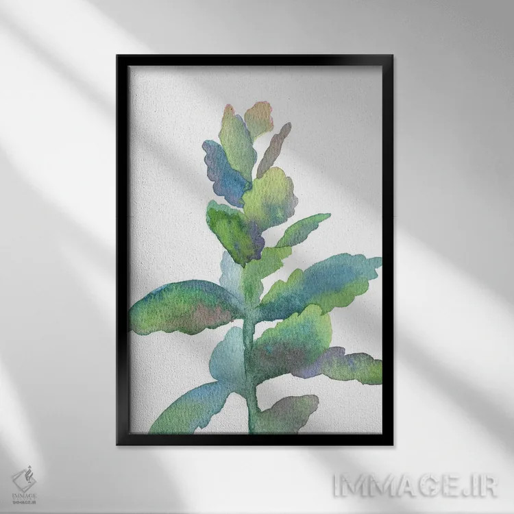 تابلو دکوراتیو گیاه گوشتی اثر اکاترینا پریسیچ - نمای قابدار مشکی