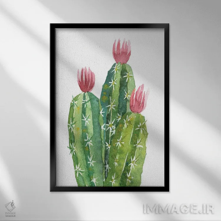 تابلو دکوراتیو کاکتوس گل دهنده اثر اکاترینا پریسیچ - نمای قابدار مشکی