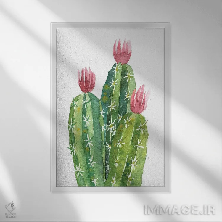 تابلو دکوراتیو کاکتوس گل دهنده اثر اکاترینا پریسیچ - نمای قابدار سفید