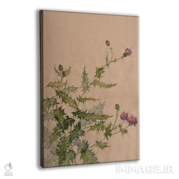 تابلو دکوراتیو طبیعت خار اثر اکاترینا پریسیچ - نمای پرسپکتیو محصول