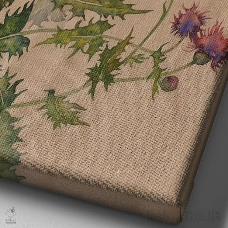 تابلو دکوراتیو طبیعت خار اثر اکاترینا پریسیچ - نمای نزدیک بافت بوم