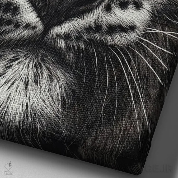 تابلو دکوراتیو نوزاد برفی اثر النا کولوتوشا - نمای نزدیک بافت بوم