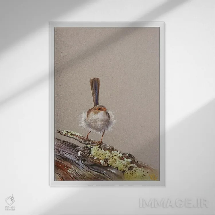 تابلو دکوراتیو تنه پوسیده خزه پوش اثر النا کولوتوشا - نمای قابدار سفید