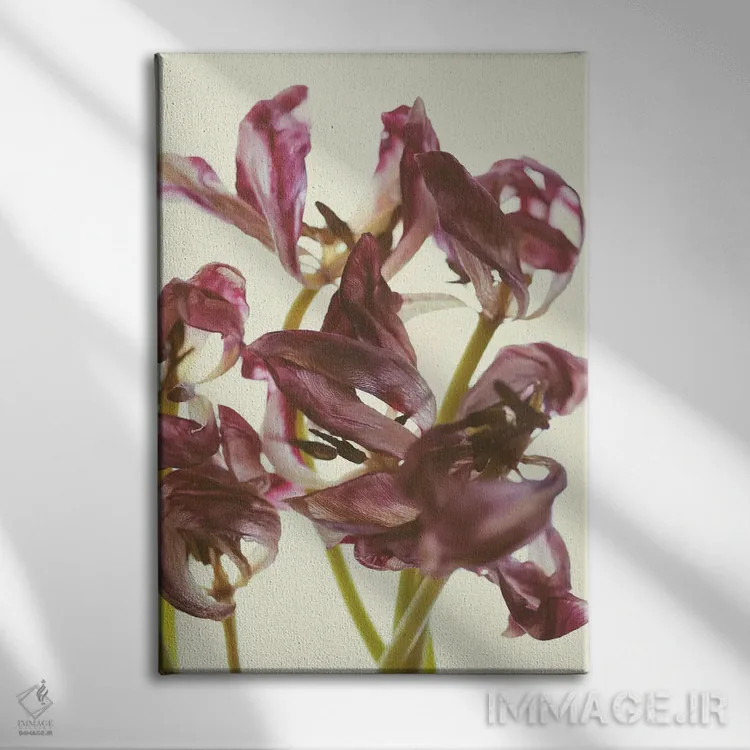 تابلو دکوراتیو زیبایی گل لاله اثر النا کولیـکووا - نمای روبهرو روی دیوار