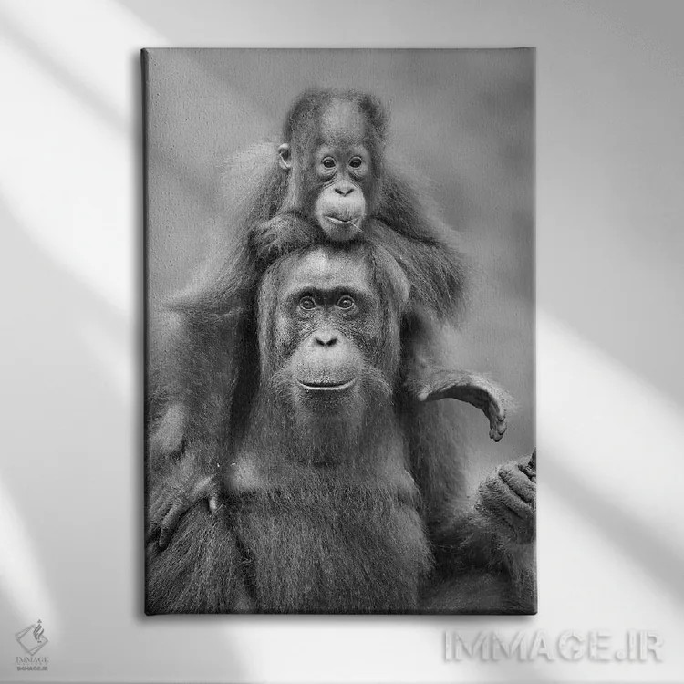 تابلو دکوراتیو سوار شدن به پشت اثر المر وایس - نمای روبهرو روی دیوار