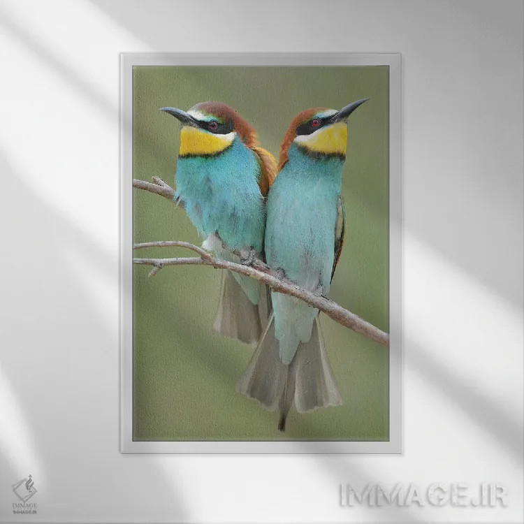 تابلو دکوراتیو زوج زنبورخوار اثر المر وایس - نمای قابدار سفید