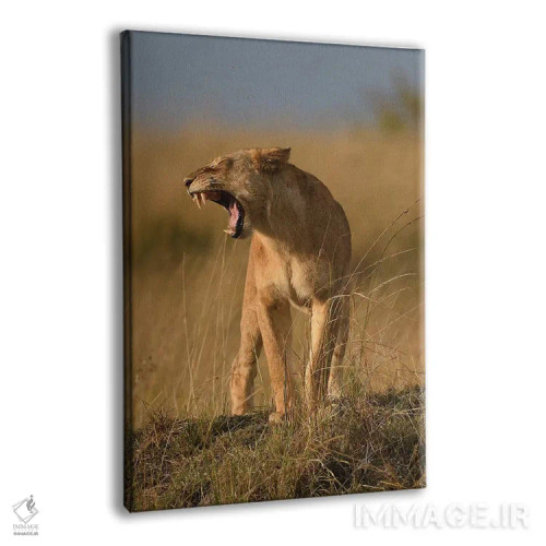 تابلو دکوراتیو شیر ماده خمیازه کش اثر المر وایس - نمای پرسپکتیو محصول