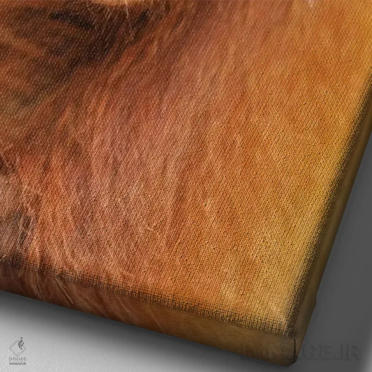 تابلو دکوراتیو پرتره اورانگوتان نوزاد اثر المر وایس - نمای نزدیک بافت بوم