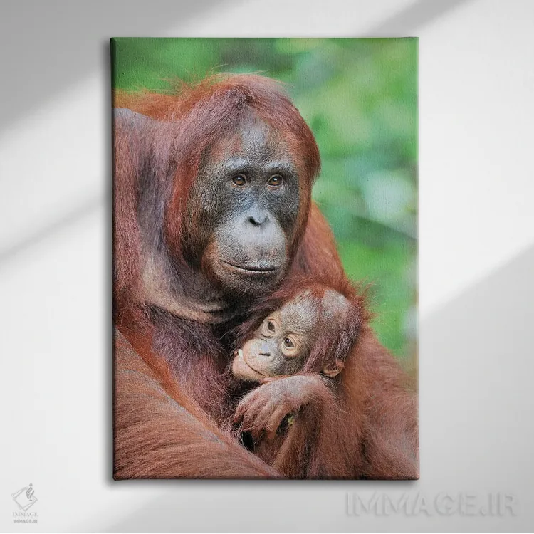 تابلو دکوراتیو مهر مادری اثر المر وایس - نمای روبهرو روی دیوار