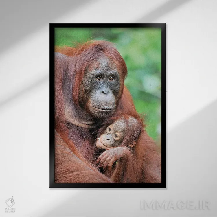 تابلو دکوراتیو مهر مادری اثر المر وایس - نمای قابدار مشکی