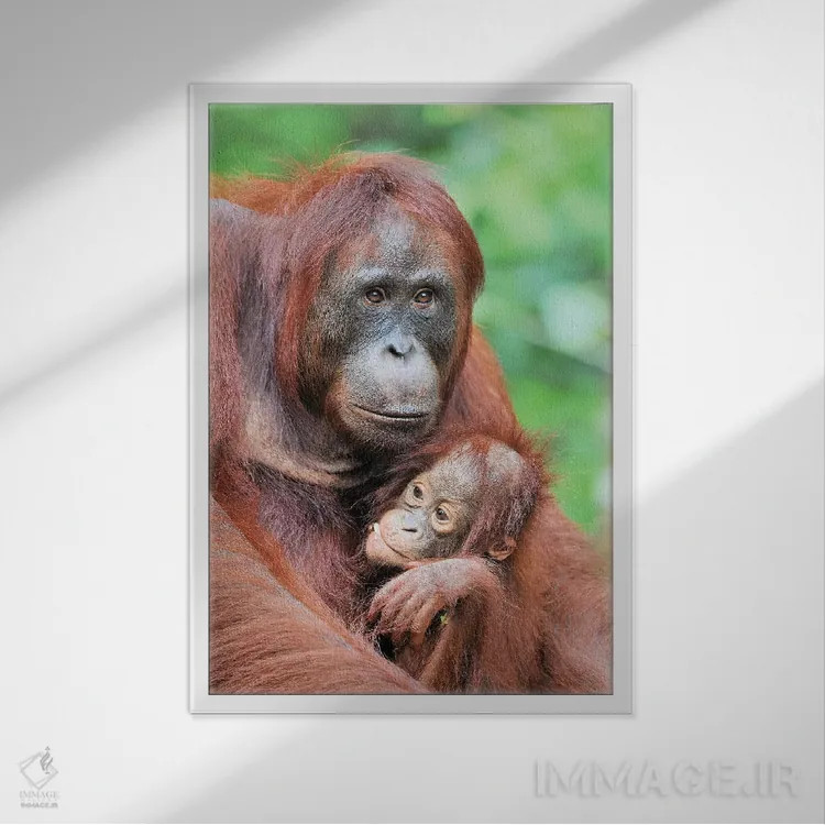 تابلو دکوراتیو مهر مادری اثر المر وایس - نمای قابدار سفید