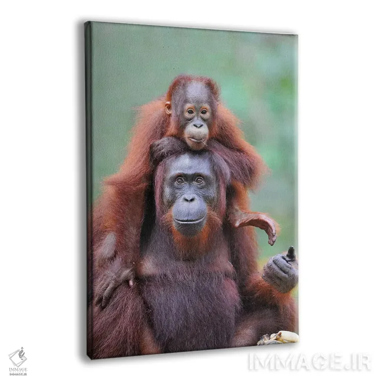 تابلو دکوراتیو کول سواری اثر المر وایس - نمای پرسپکتیو محصول