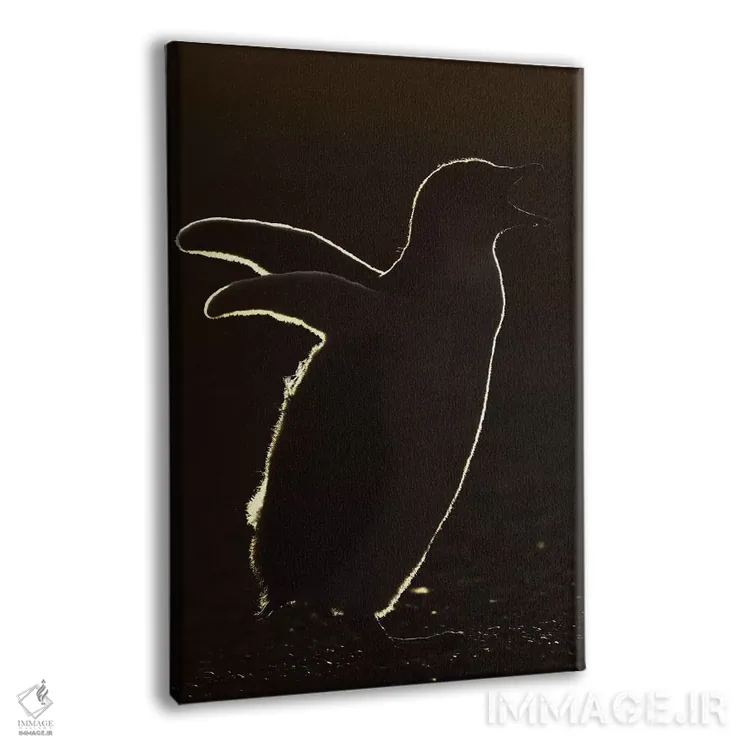 تابلو دکوراتیو جوجه پنگوئن جنتو با نور پشت اثر المر وایس - نمای پرسپکتیو محصول