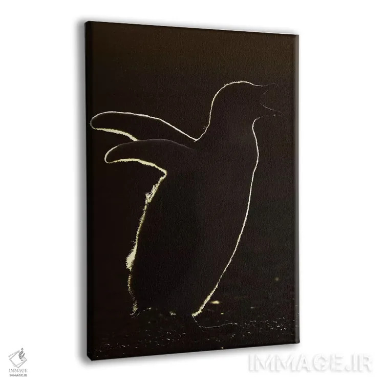 تابلو دکوراتیو جوجه پنگوئن جنتو با نور پشت اثر المر وایس - نمای پرسپکتیو محصول