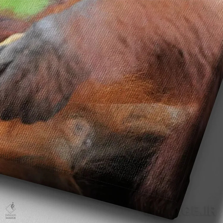 تابلو دکوراتیو اورانگوتان آرام اثر المر وایس - نمای نزدیک بافت بوم